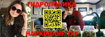 крисы Краснокаменск